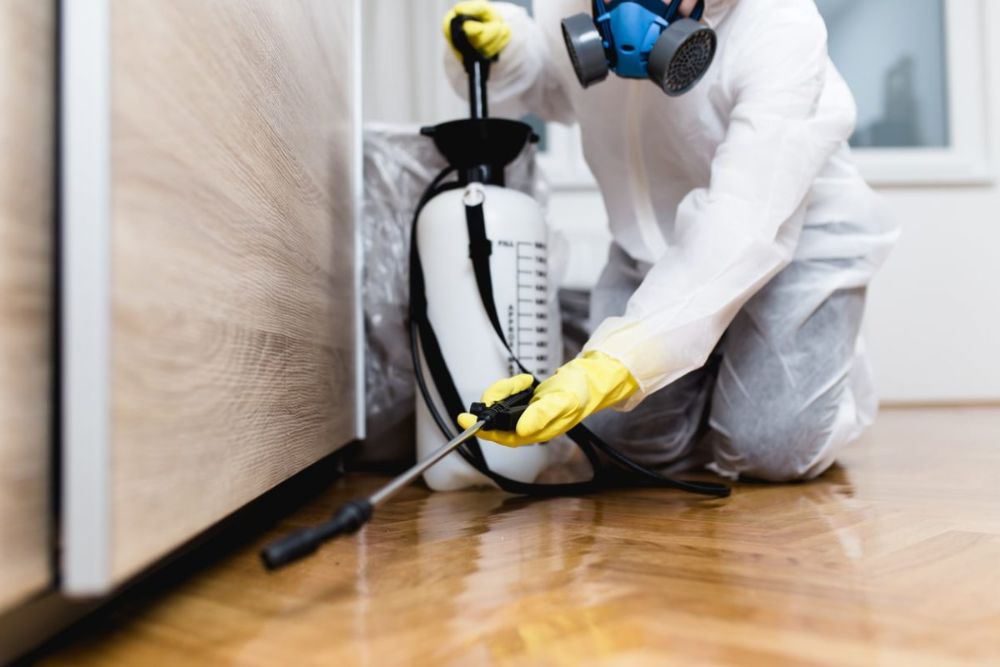 A pest control technician in protective clothing sprays a room to eliminate pests in Chicago, IL.