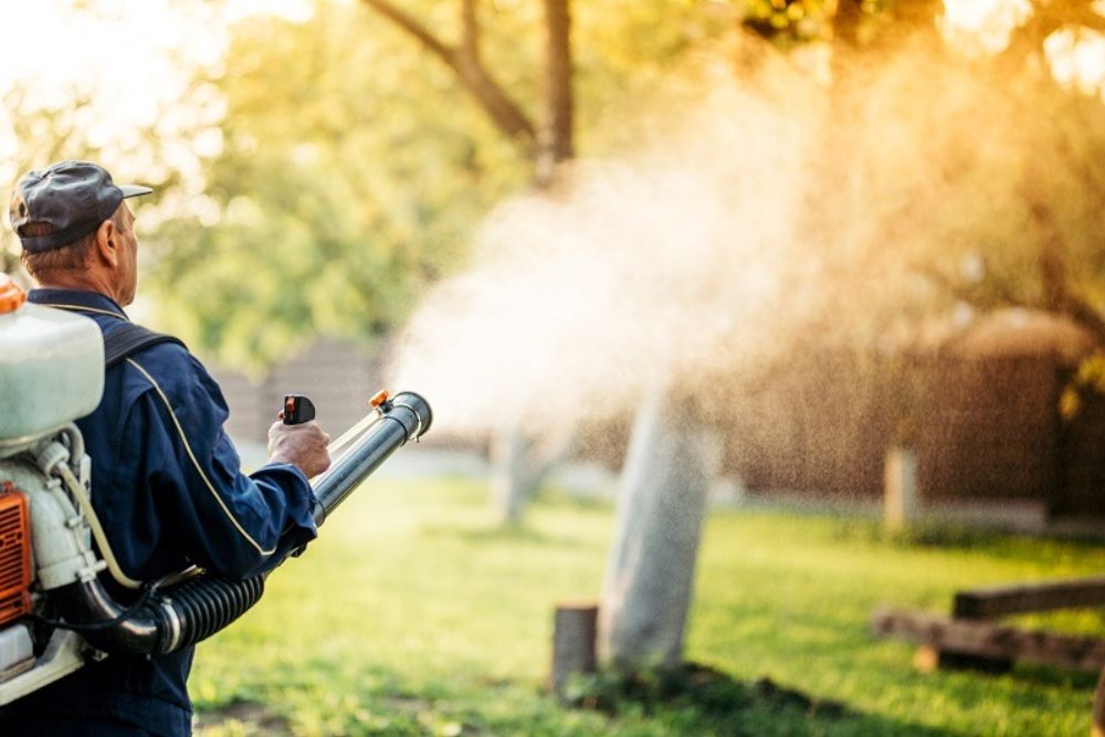 A man applying a garden hose to spray a lawn for mosquito control in Chicago, IL.